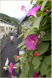 Boy’s love for Morning Glories lives on long after his passing…